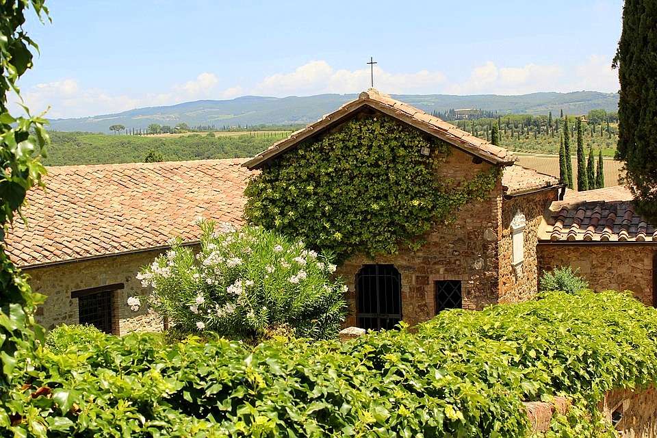 Banfi vineyards - виноробня в Тоскані пазл онлайн