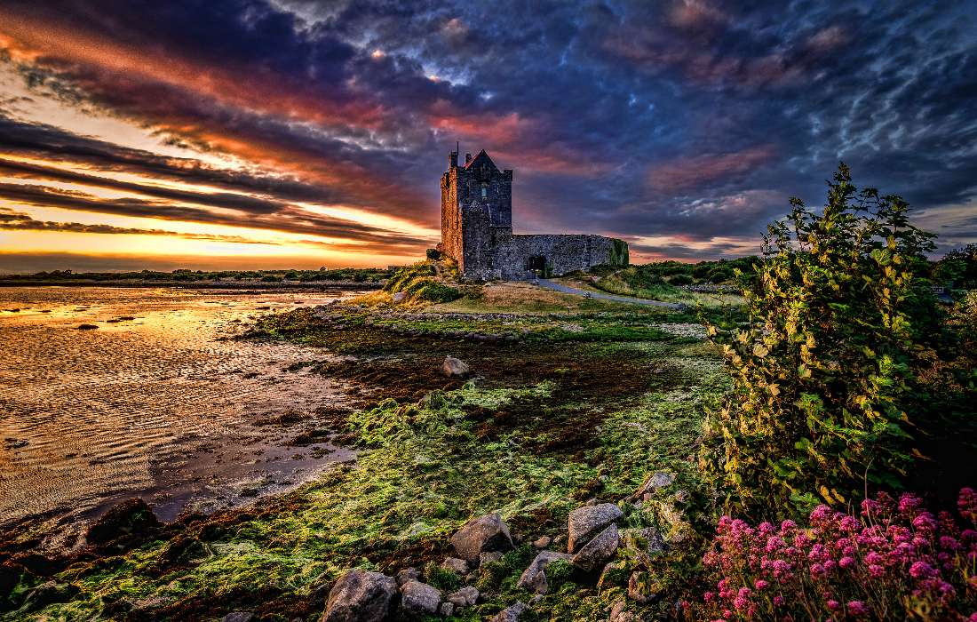 Ирландия - Замок Дангвайр в заливе Голуэй онлайн-пазл