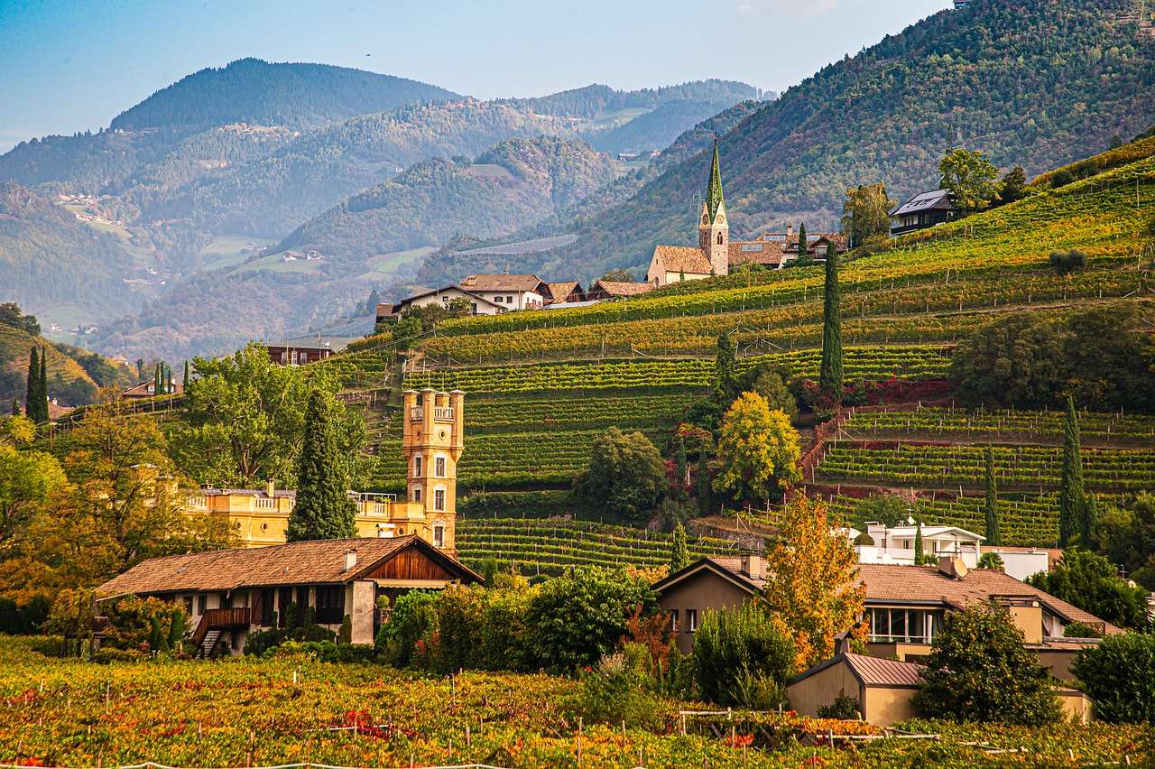 Vineyard Bolzano Olaszország kirakós online