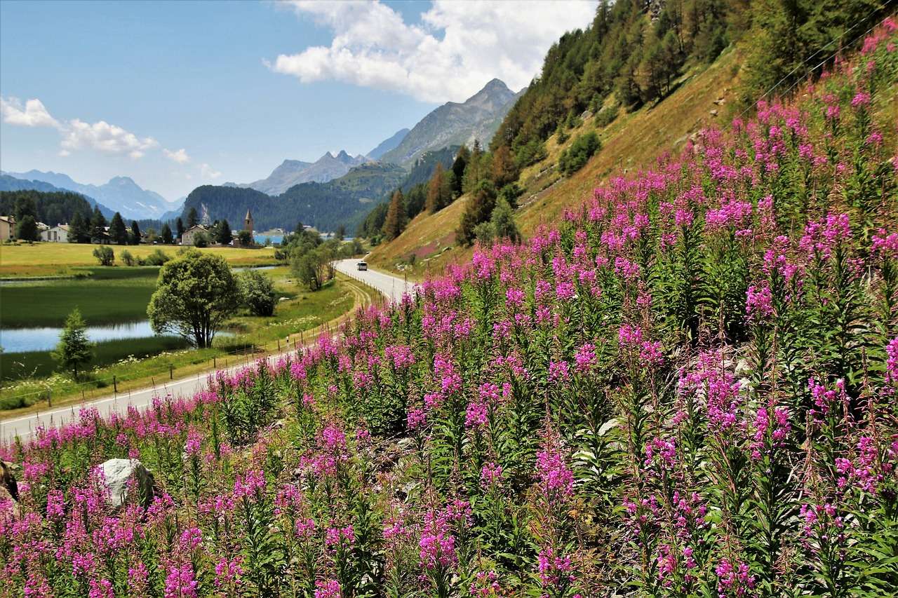 Panorama dos Alpes quebra-cabeças online