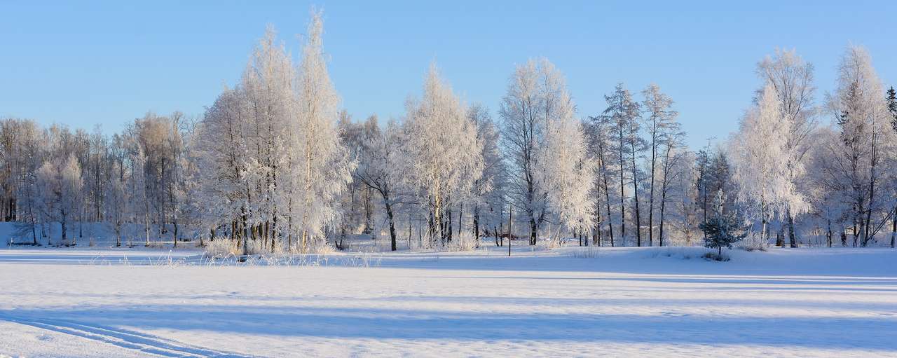 Invierno Kuopio Nieve rompecabezas en línea