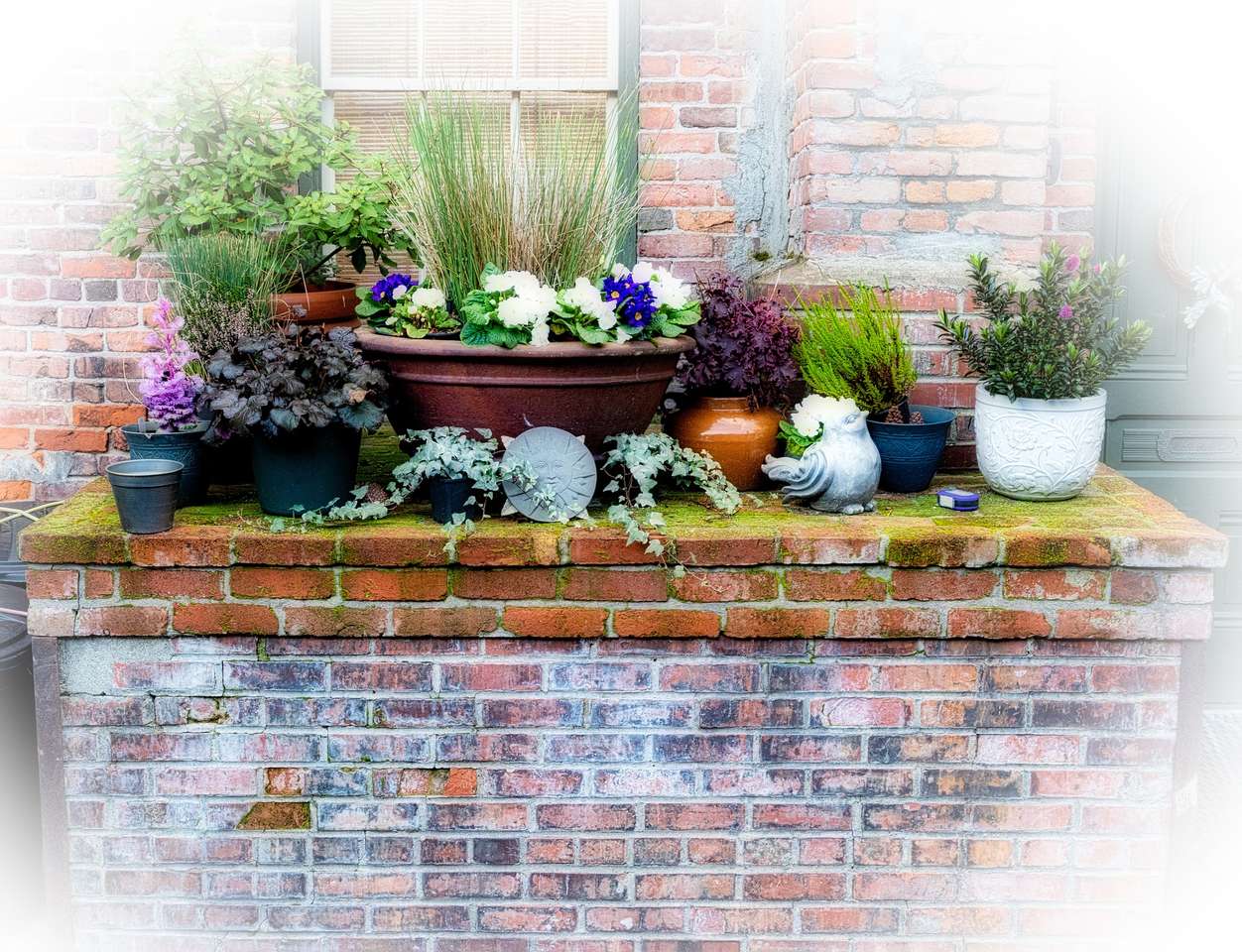 Pots with plants jigsaw puzzle online