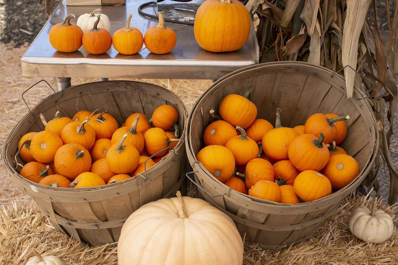 Pumpkins in baskets jigsaw puzzle online