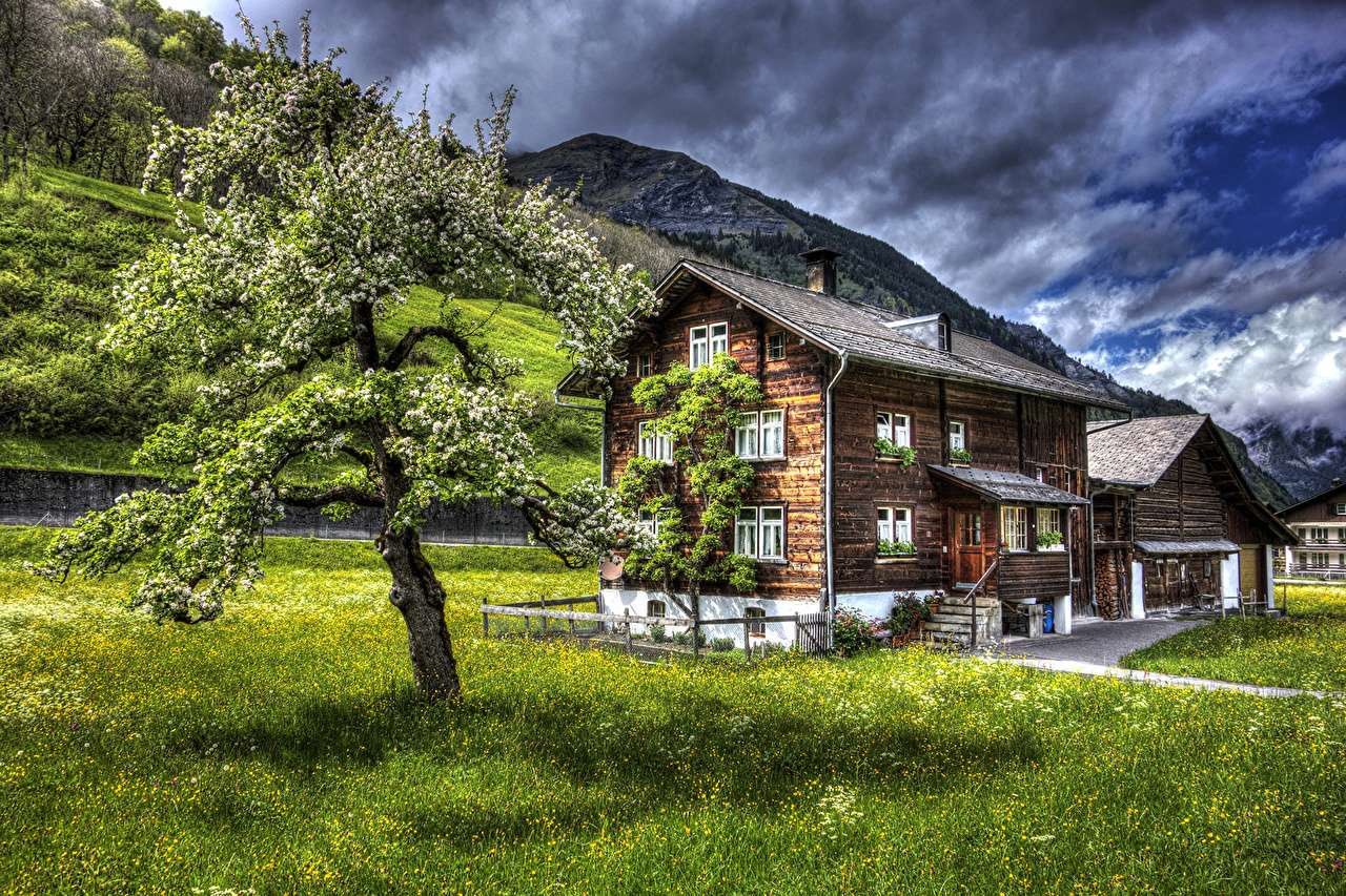 Schweiz - Holzhaus auf einer grünen Wiese Online-Puzzle
