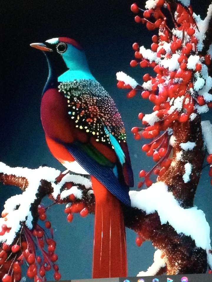 Птицы с разноцветными пазл онлайн