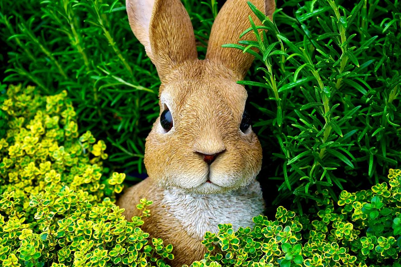 Kaninchen im Grünen Online-Puzzle