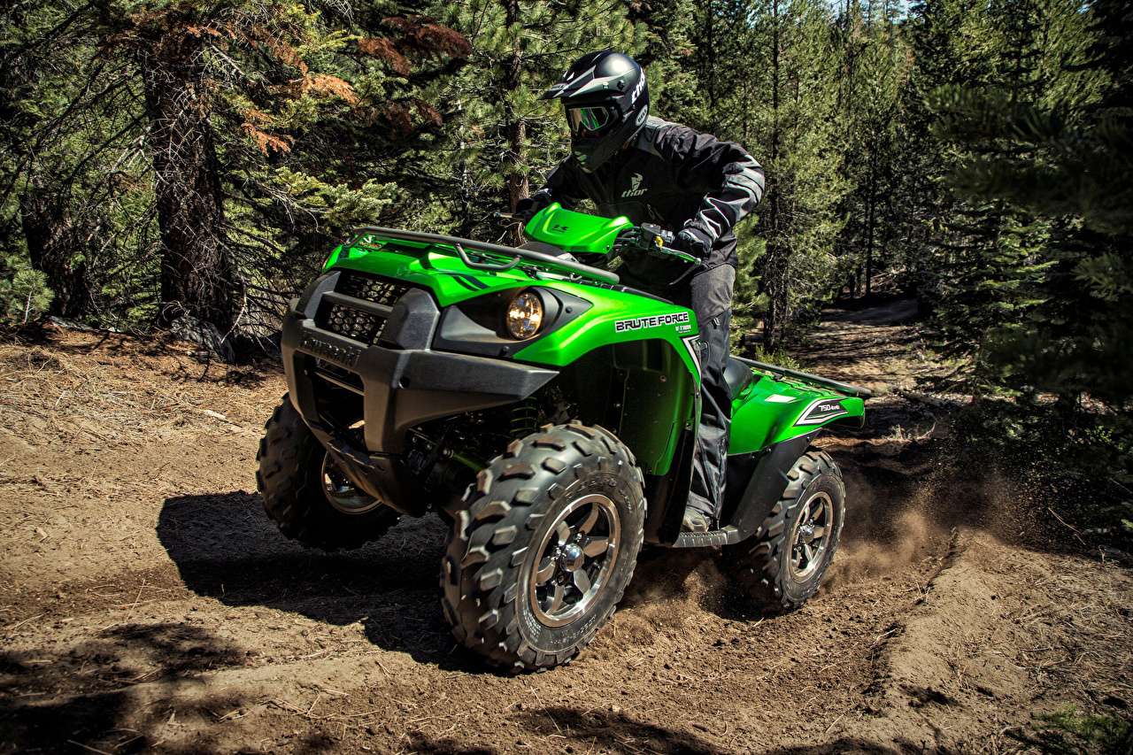 Crazy off-road driving on a cool quad bike jigsaw puzzle online