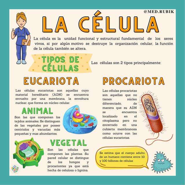 la cellule puzzle en ligne