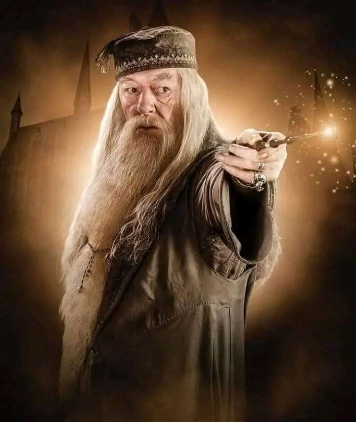 Dumbledore puzzle en ligne