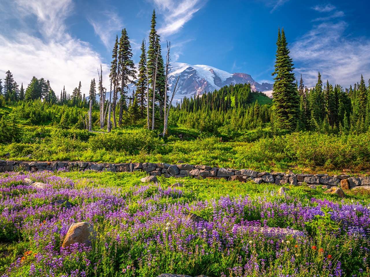 米国 - 山岳国立公園の花の牧草地 ジグソーパズルオンライン
