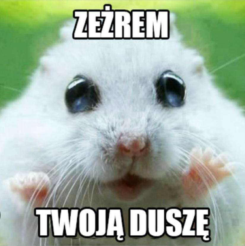 Hamster?! Online-Puzzle