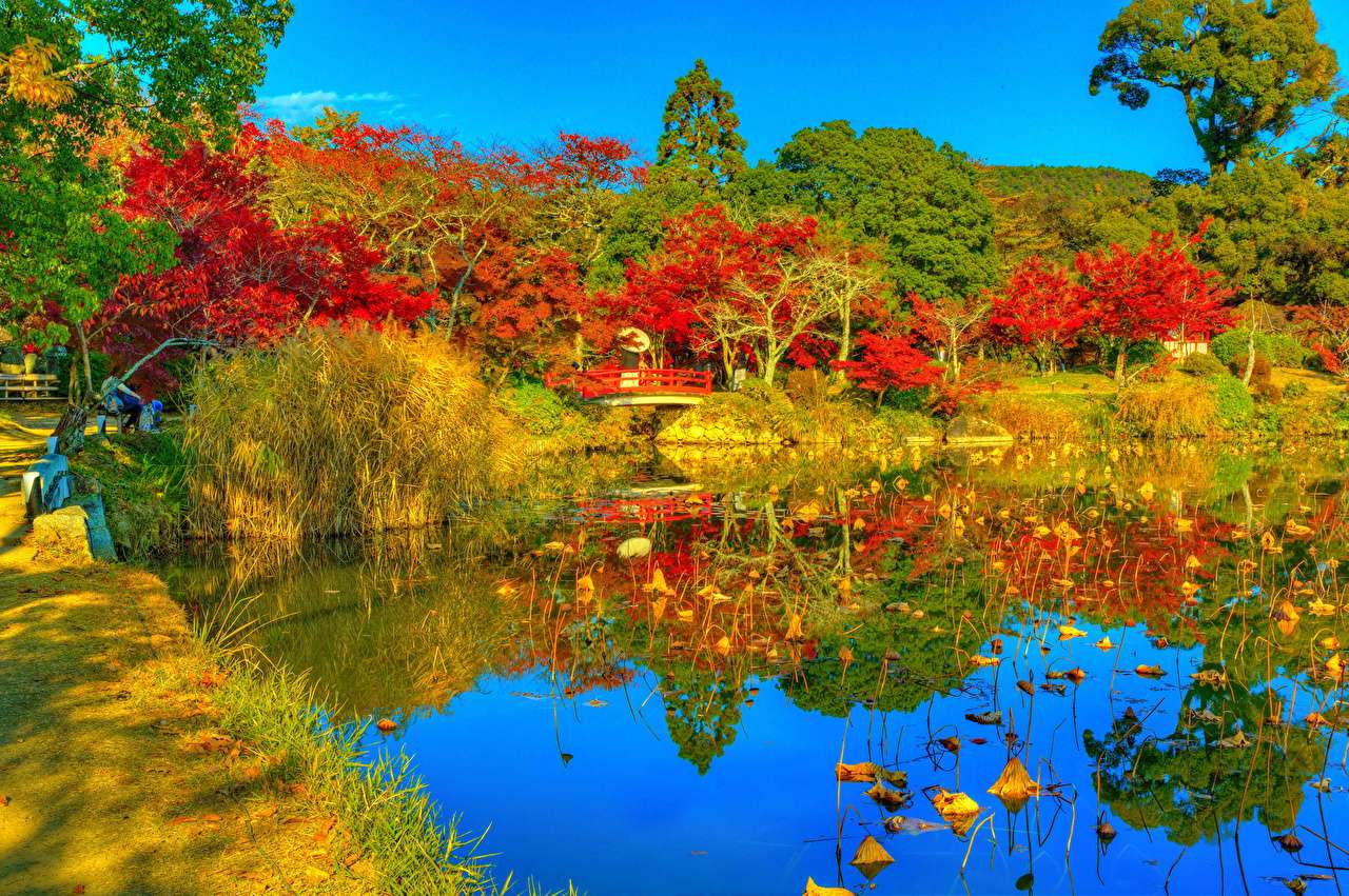 Японія - Кіото - Красивий осінній став Дайкаку онлайн пазл