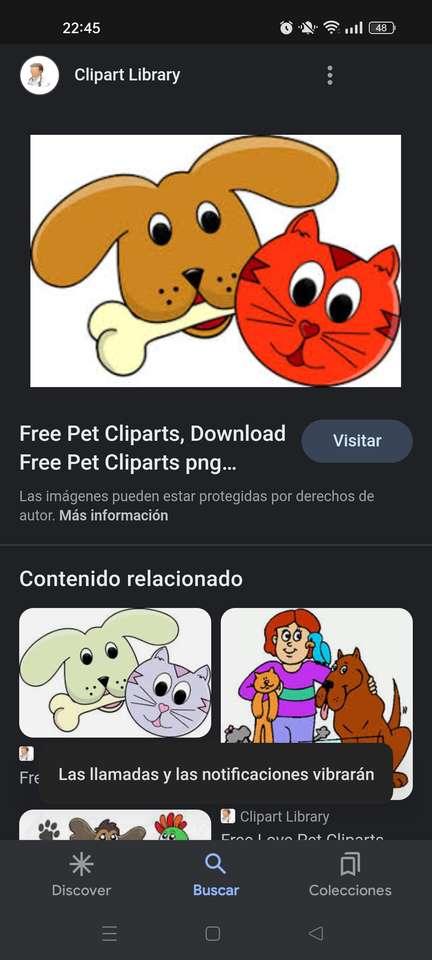 Cão e gato quebra-cabeças online