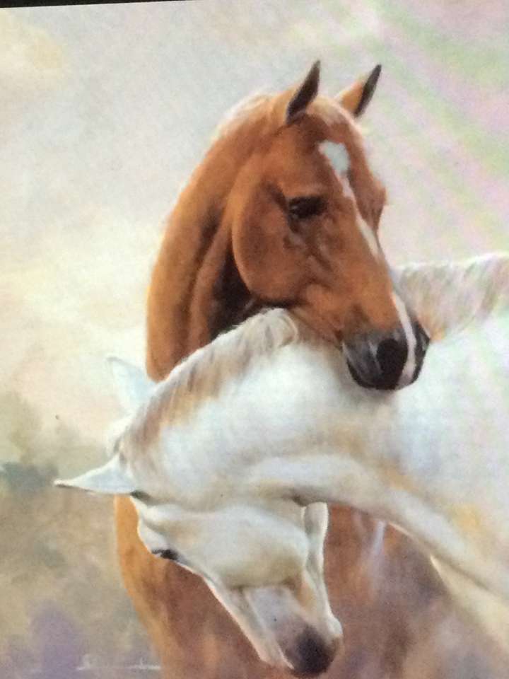 Dva koně, jeden hnědý a jeden bílý online puzzle