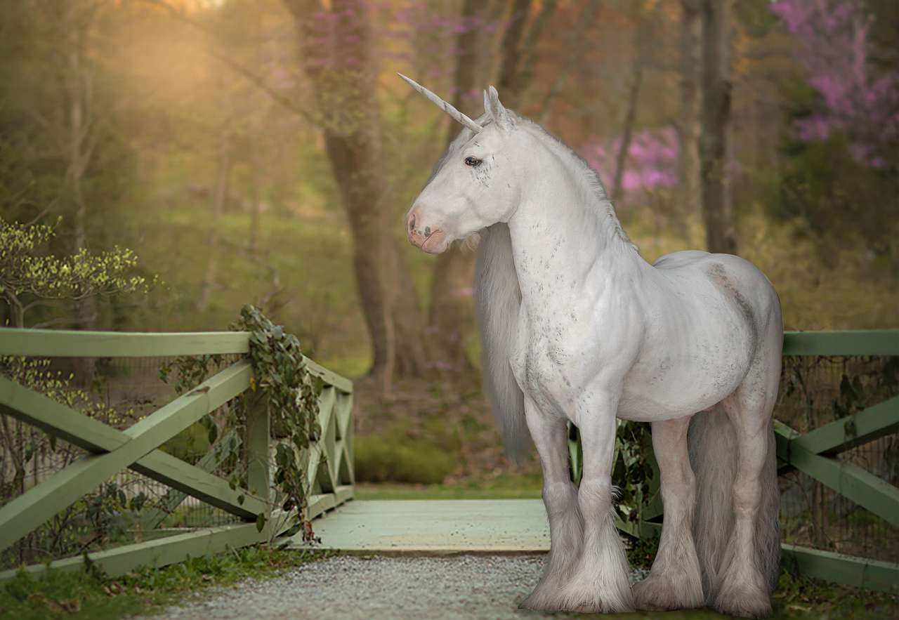 Cavallo, unicorno puzzle online