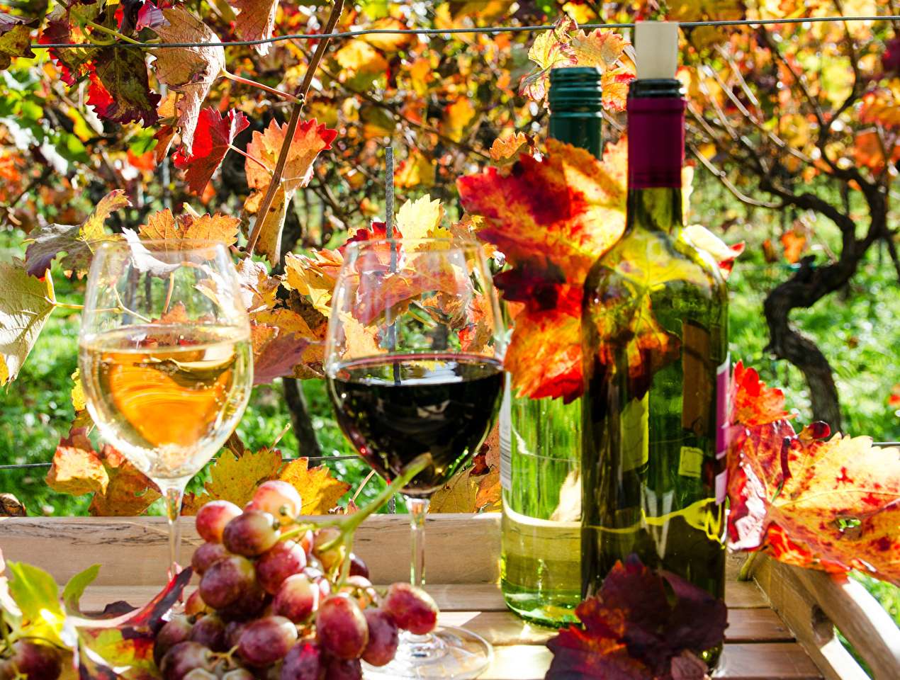 Франция-Осень Белое или красное вино онлайн-пазл