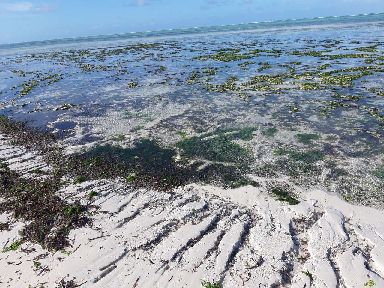 Low tide time jigsaw puzzle online
