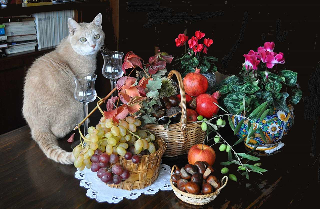 Krásné kotě mezi krásou přírody skládačky online