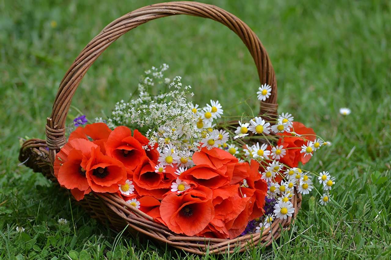 Маки, ромашки - польові квіти в кошику онлайн пазл