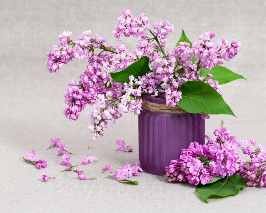 Fleurs lilas puzzle en ligne