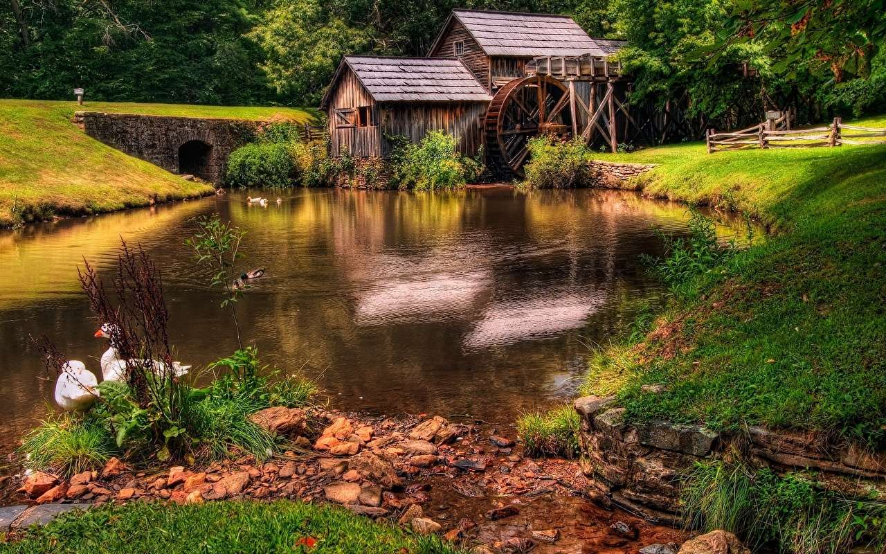 Moulin à eau d'oies de rivière dans un bel endroit de cercle d'herbe puzzle en ligne