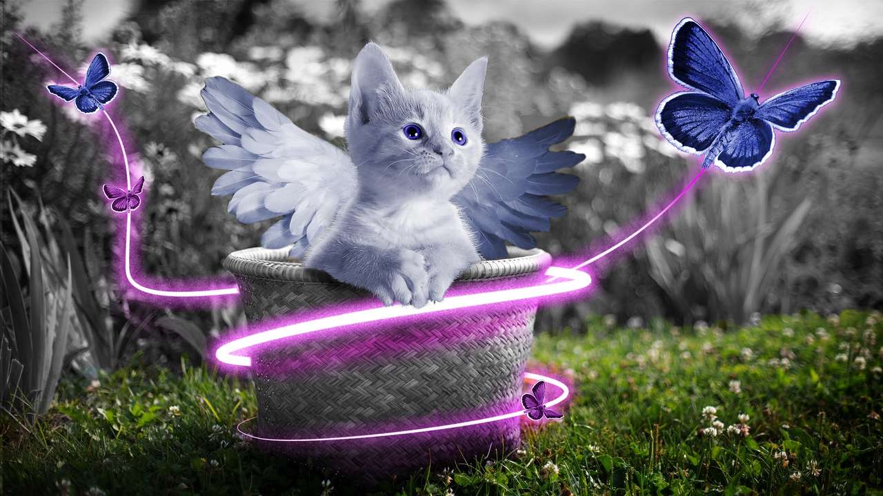 gatito ángel rompecabezas en línea