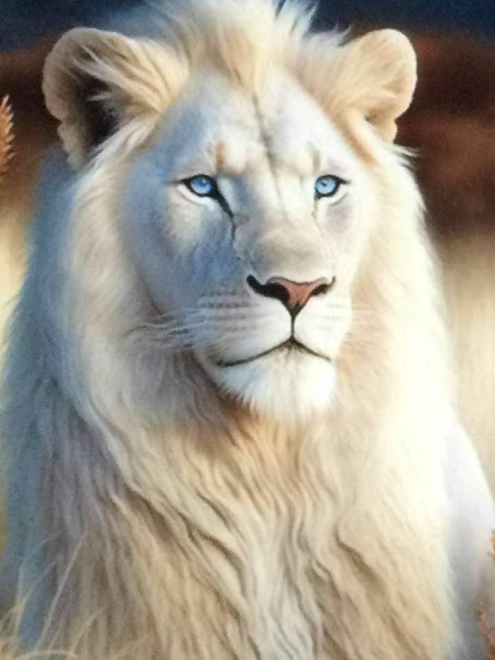 fehér oroszlán kirakós online