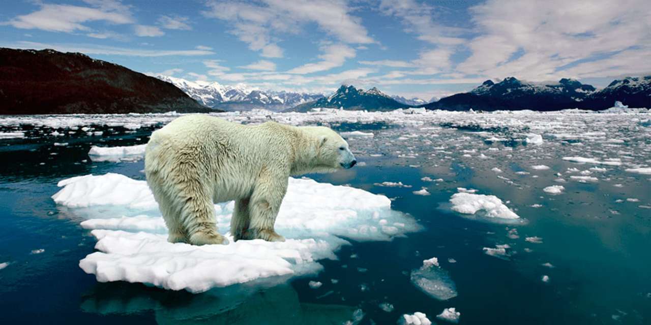 Climate change jigsaw puzzle online