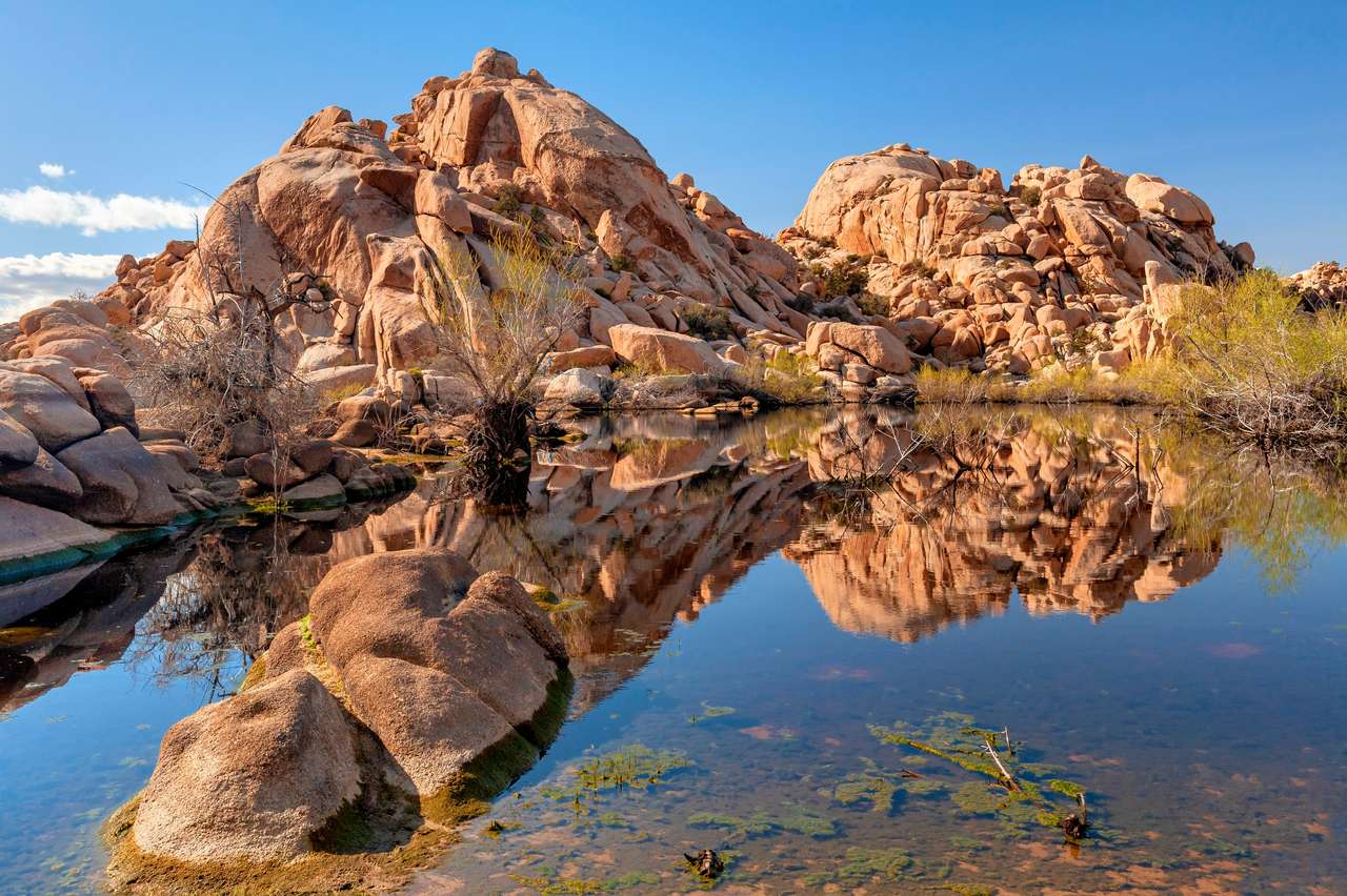アメリカ - ジョシュア ツリー湖国立公園カリフォルニア ジグソーパズルオンライン