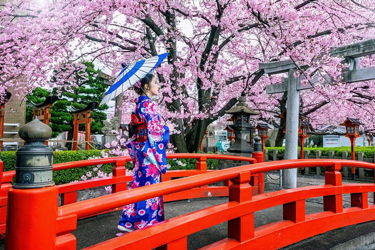 Фестивал на сакура - Цъфтящи дървета на Япония, красиви онлайн пъзел