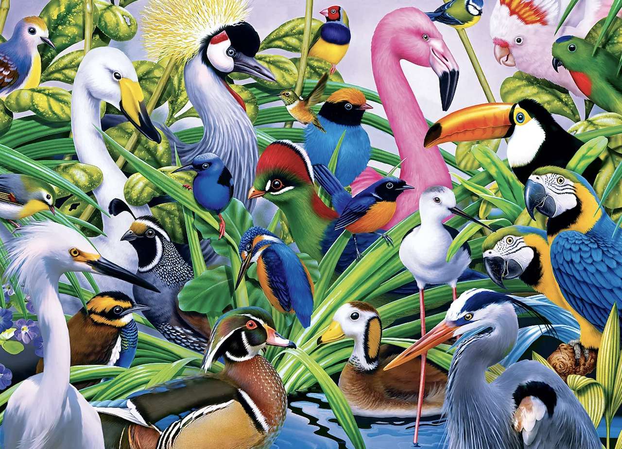 Krásné barevné ptáky žijící v tropech online puzzle