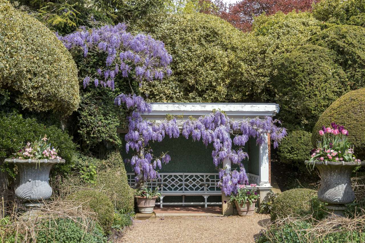 England-Park Ascott House magnifiquement floraison Wisteria puzzle en ligne