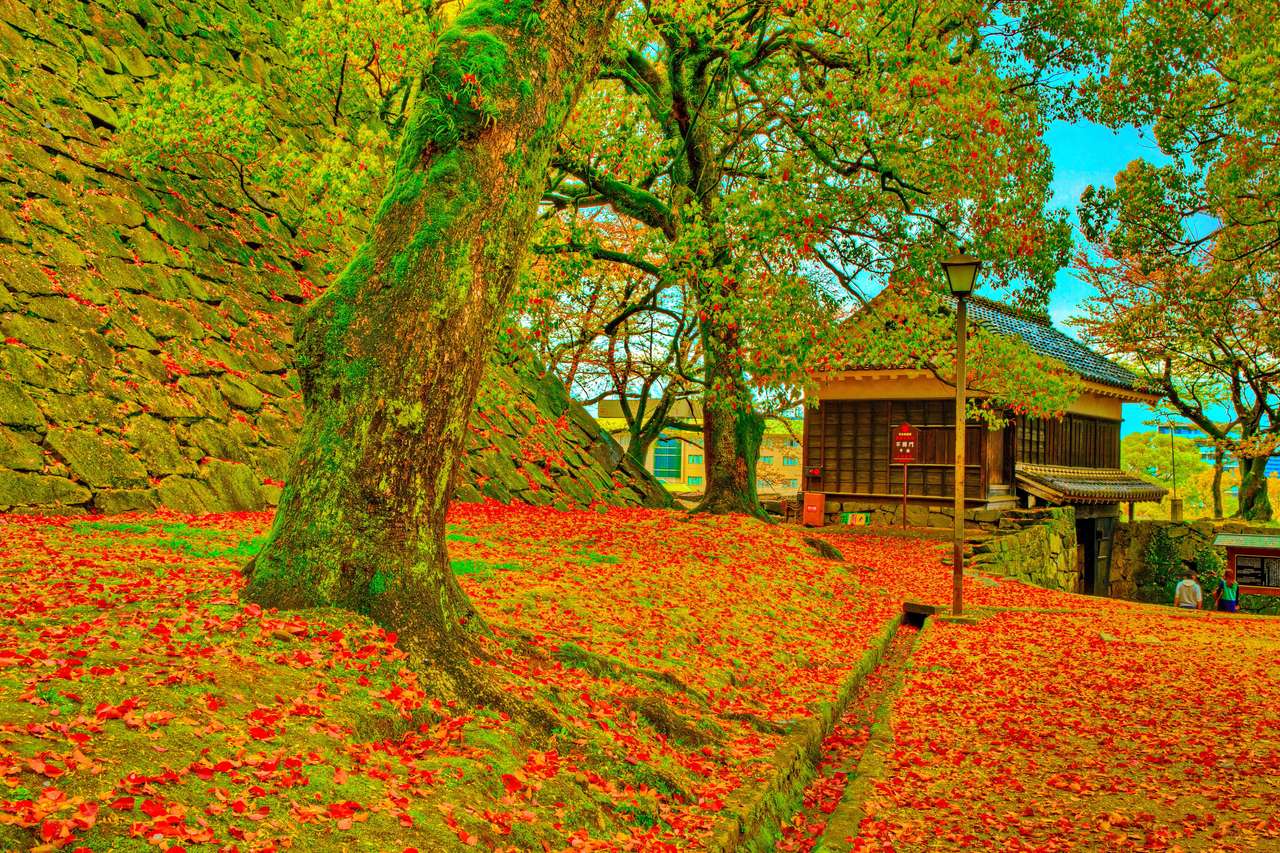 Japon - Magnifique automne dans le parc du château de Kumamoto puzzle en ligne