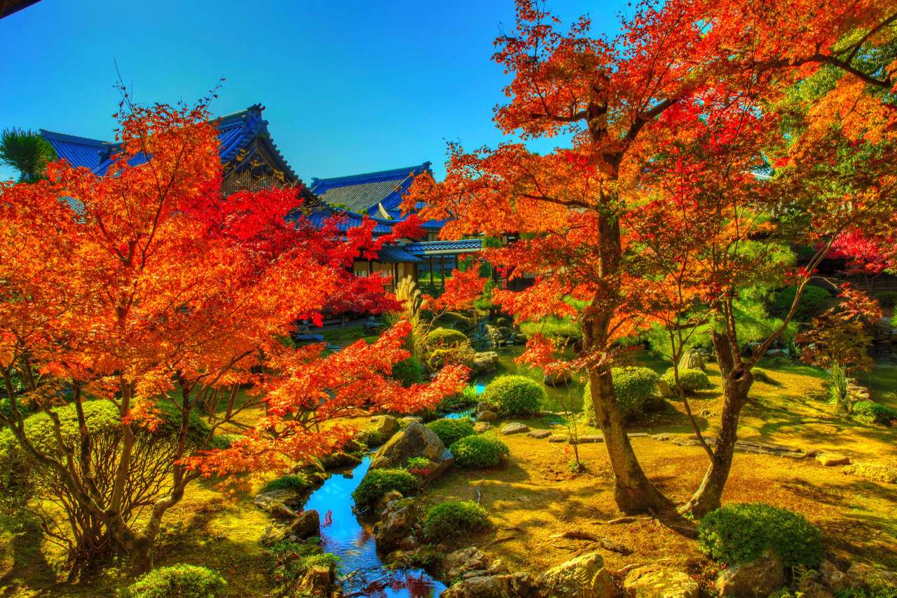Kiotói-őszi fák egy patak felett, egy gyönyörű parkban online puzzle