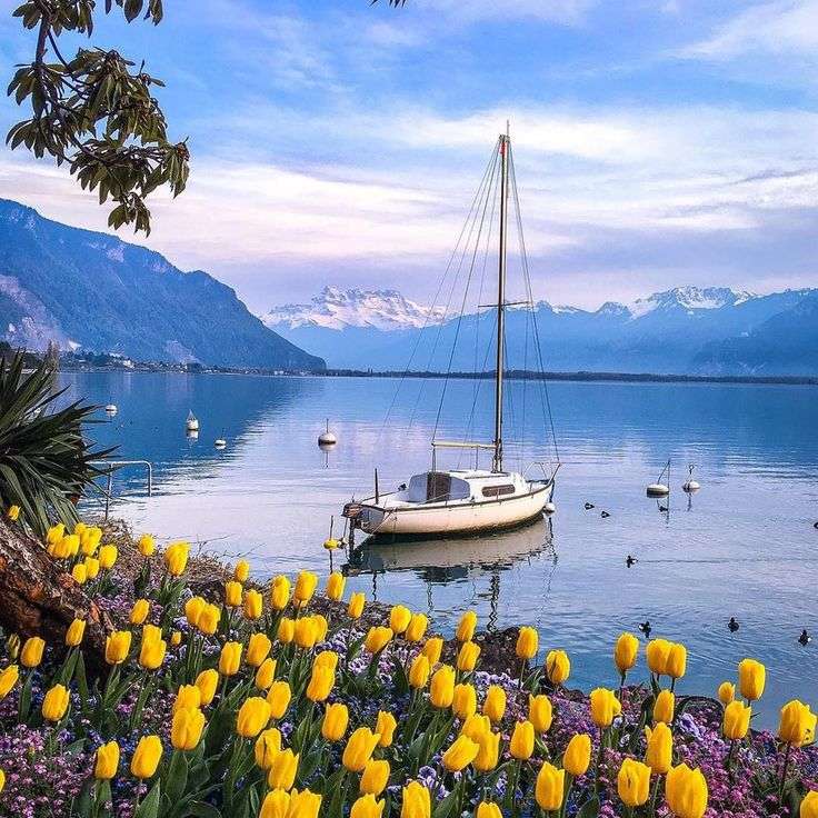 Sailboat on the lake jigsaw puzzle online