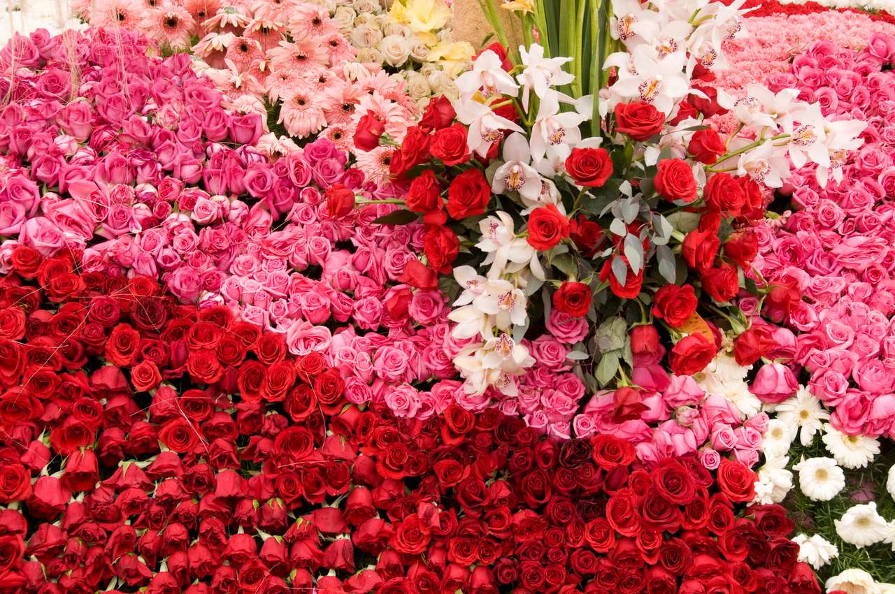 Рози Орхидеи Гербери - флорален килим онлайн пъзел