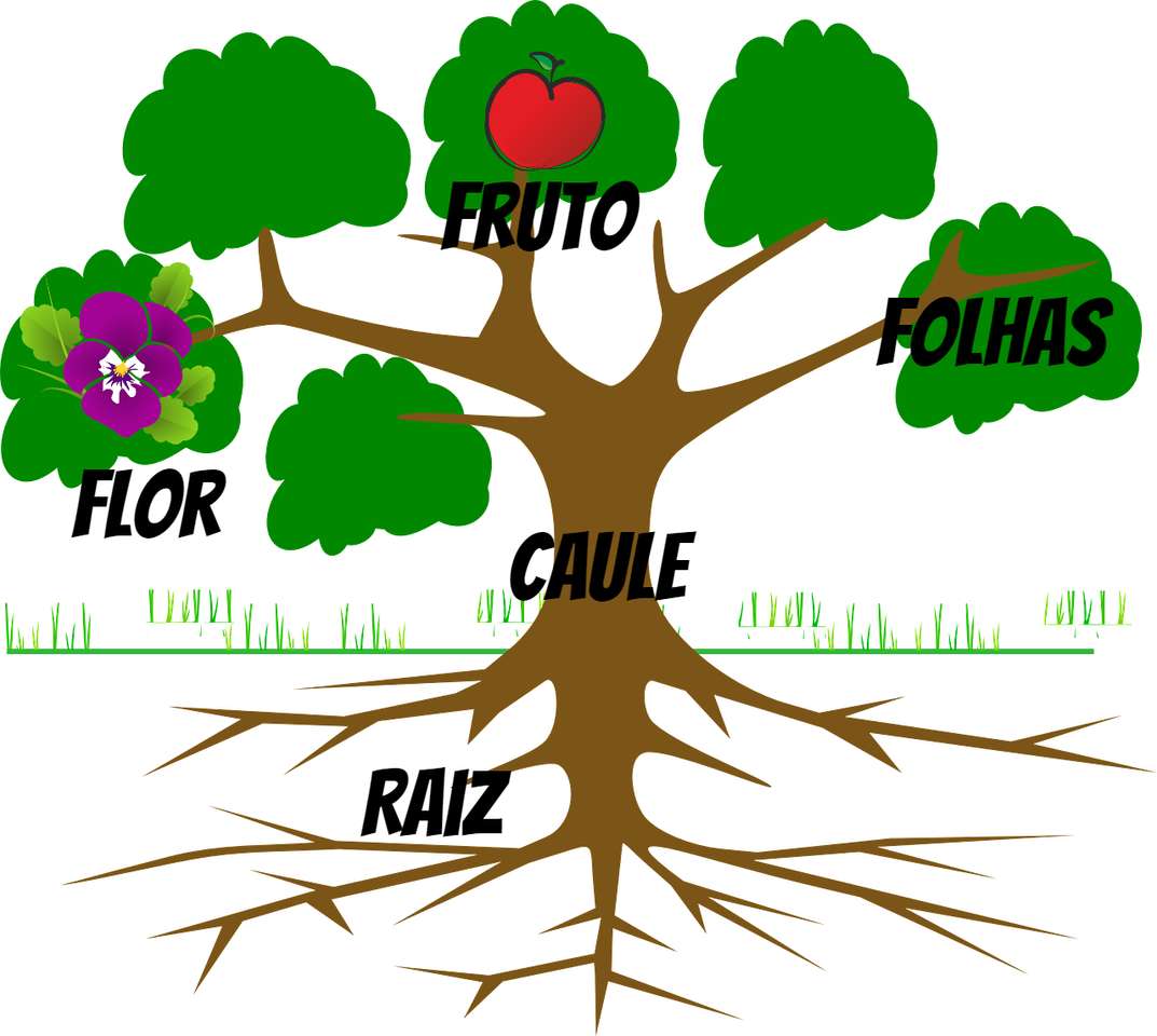 huerta - fotosíntesis rompecabezas en línea