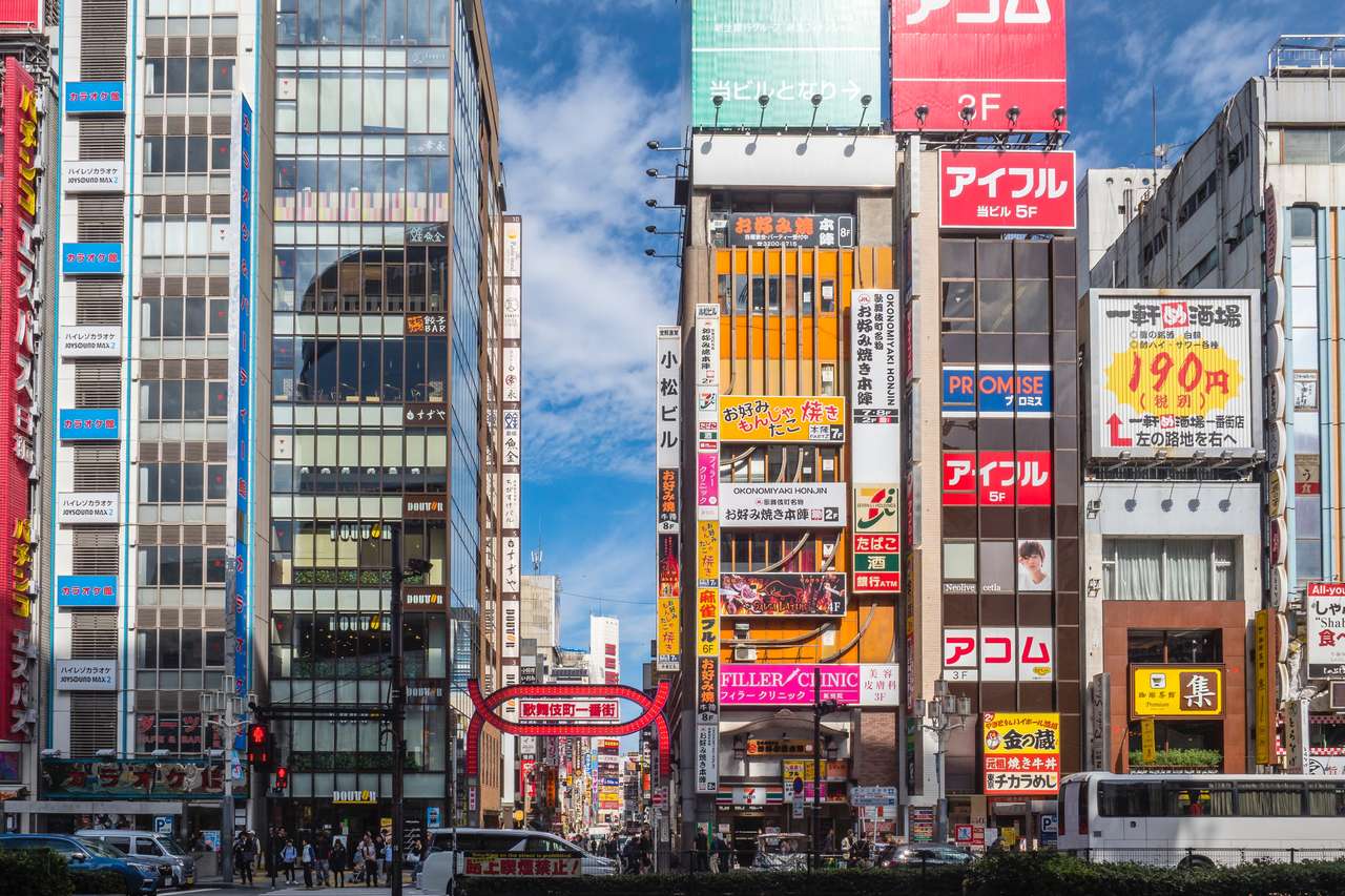 Tokyo, Okubo puzzle en ligne