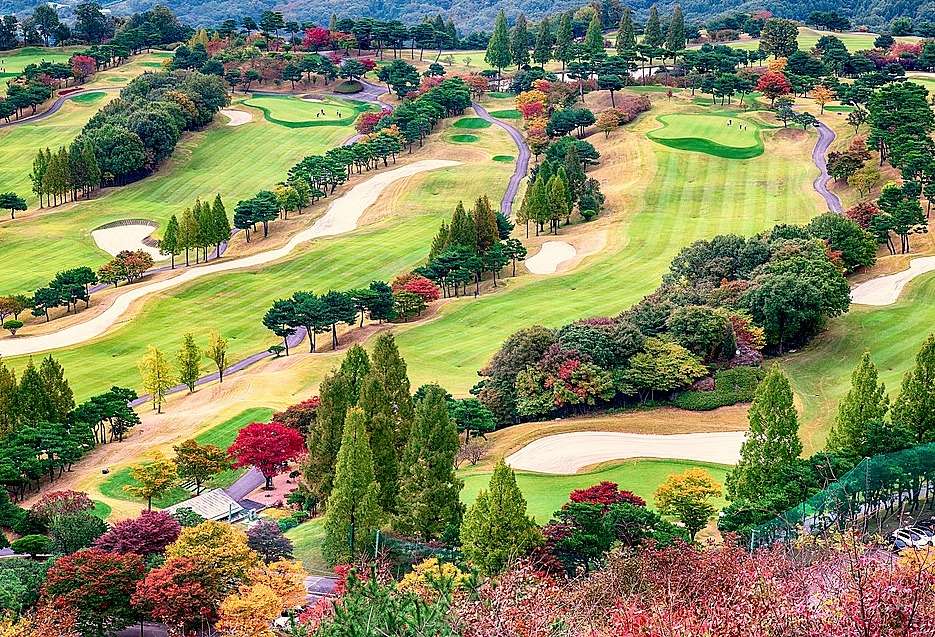 Vista aerea - campo da golf in autunno puzzle online