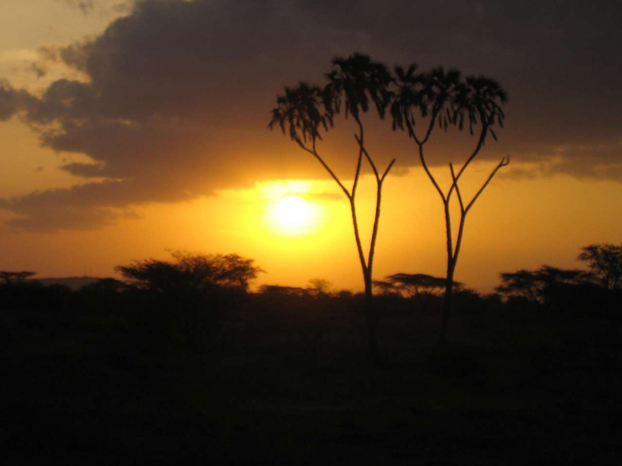 ケニアの夕方の雰囲気 ジグソーパズルオンライン