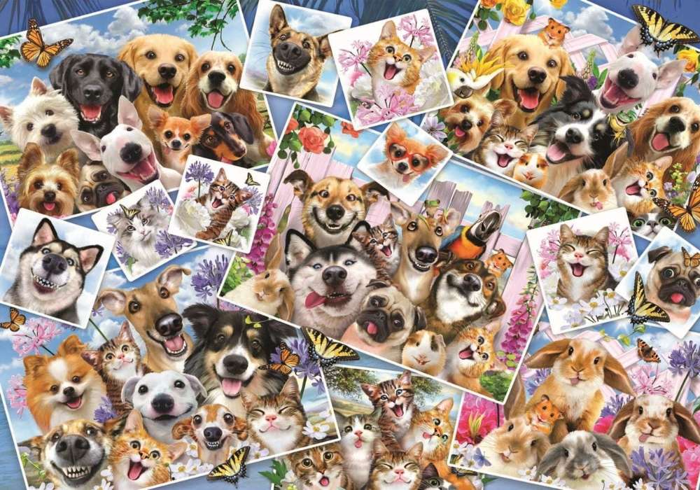 Selfies de mascotas alegres - perros gatos conejos rompecabezas en línea
