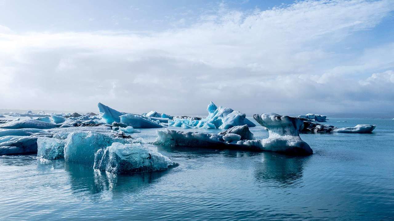 la antartica rompecabezas en línea