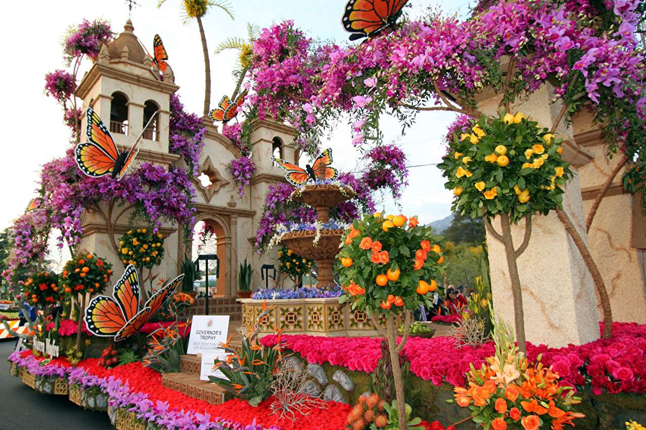 Καλιφόρνια-Ομορφιά, τριαντάφυλλα, ορχιδέες, ορχιδέες online παζλ