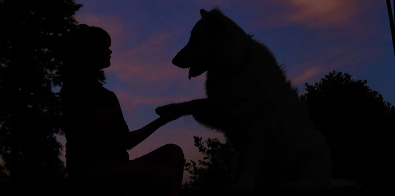 Moi et mon chien White Shepherd Orville puzzle en ligne