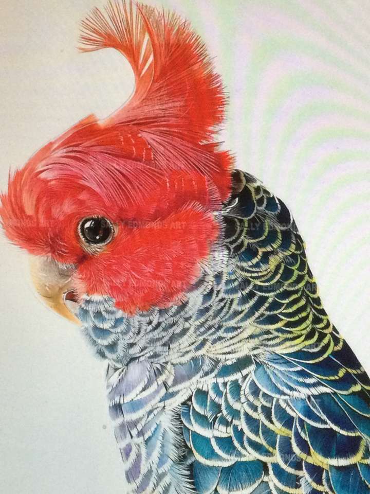 pássaros de cabeça vermelha puzzle online