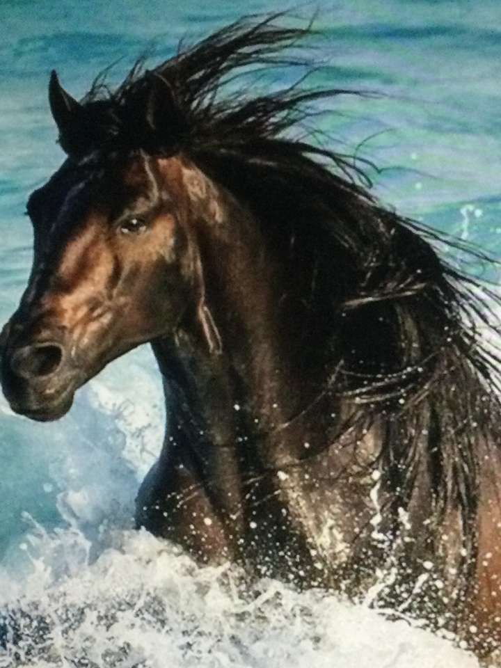 лошадь в воде онлайн-пазл