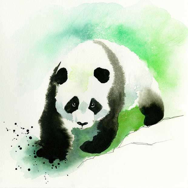 aranyos panda kirakós online