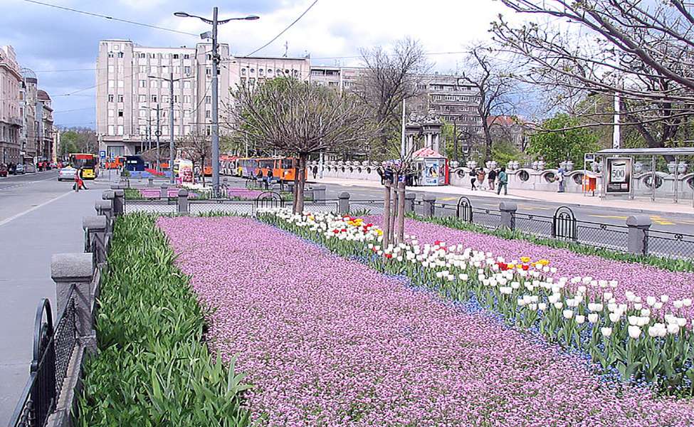 Φοιτητική πλατεία στο Βελιγράδι παζλ online