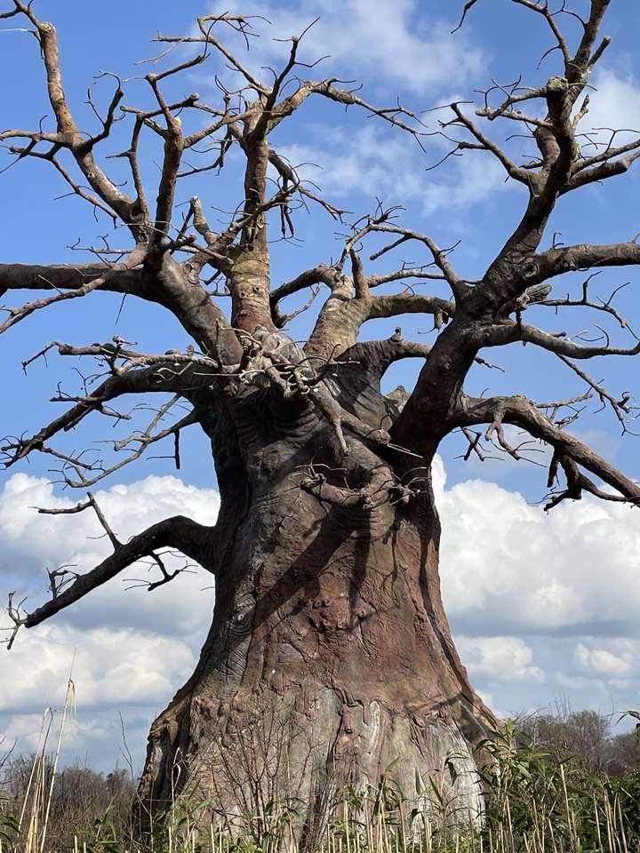 Голо дърво в Южна Африка онлайн пъзел