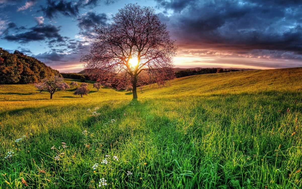 A beleza da cor do céu ao pôr do sol sobre o prado puzzle online
